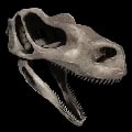 ARK: Survival Ascended Skeletal Raptor Creature creature