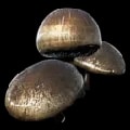ARK: Survival Ascended Aggeravic Mushroom item