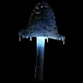 ARK: Survival Ascended Ascerbic Mushroom item