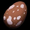 ARK: Survival Ascended Baryonyx Egg item
