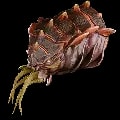 ARK: Survival Ascended Beta Cymathoa Trophy item
