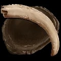 ARK: Survival Ascended Chitin or Keratin item