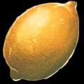ARK: Survival Ascended Citronal item