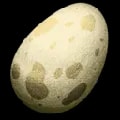 ARK: Survival Ascended Dinosaur Egg item