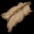 ARK: Survival Ascended Hide item
