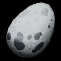 ARK: Survival Ascended Ichthyornis Egg item
