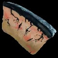 ARK: Survival Ascended Infected Blubber item