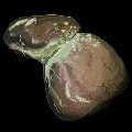 ARK: Survival Ascended Infected Liver item