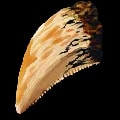 ARK: Survival Ascended Infected Tooth item