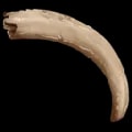 ARK: Survival Ascended Keratin item