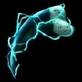 ARK: Survival Ascended Lightning Talon item