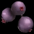 ARK: Survival Ascended Mejoberry item