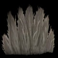 ARK: Survival Ascended Pelt item