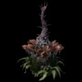 ARK: Survival Ascended Plant Species X item