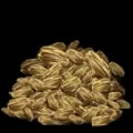ARK: Survival Ascended Rockarrot Seed item