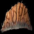 ARK: Survival Ascended Spinosaurus Sail item
