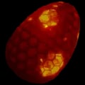 ARK: Survival Ascended Tek Rex Egg item