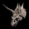 ARK: Survival Ascended Trike Bone Costume item