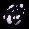 ARK: Survival Ascended Troodon Egg item