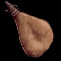 ARK: Survival Ascended Waterskin (Empty) item
