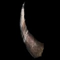ARK: Survival Ascended Woolly Rhino Horn item