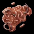 ARK: Survival Ascended Worm Gum item
