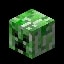 Minecraft Creeper Head item