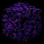 Minecraft Crying Obsidian item