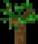 Minecraft Dark Oak Sapling item