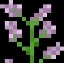 Minecraft Lilac item