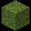 Minecraft Moss Block item