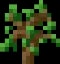 Minecraft Oak Sapling item