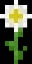 Minecraft Oxeye Daisy item