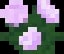 Minecraft Peony item