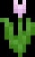 Minecraft Pink Tulip item