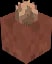 Minecraft Potted Brown Mushroom item