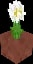 Minecraft Potted Oxeye Daisy item