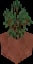 Minecraft Potted Spruce Sapling item