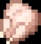 Minecraft Raw Chicken item