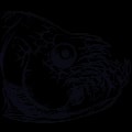 ARK: Survival Ascended Xiphactinus Creature creature