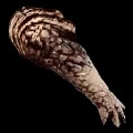 ARK: Survival Ascended Alpha Carnotaurus Arm item
