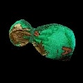 ARK: Survival Ascended Alpha Raptor Swim Top item