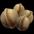 ARK: Survival Ascended Amarberry Seed (instant grow) item