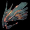 ARK: Survival Ascended Artifact Of The Skylord item
