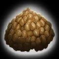 ARK: Survival Ascended Basic Kibble item