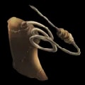 ARK: Survival Ascended Blood Extraction Syringe item