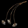 ARK: Survival Ascended Bola item