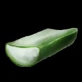 ARK: Survival Ascended Cactus Sap item