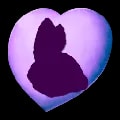 ARK: Survival Ascended Chibi Bunny item