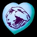 ARK: Survival Ascended Chibi Castoroides item